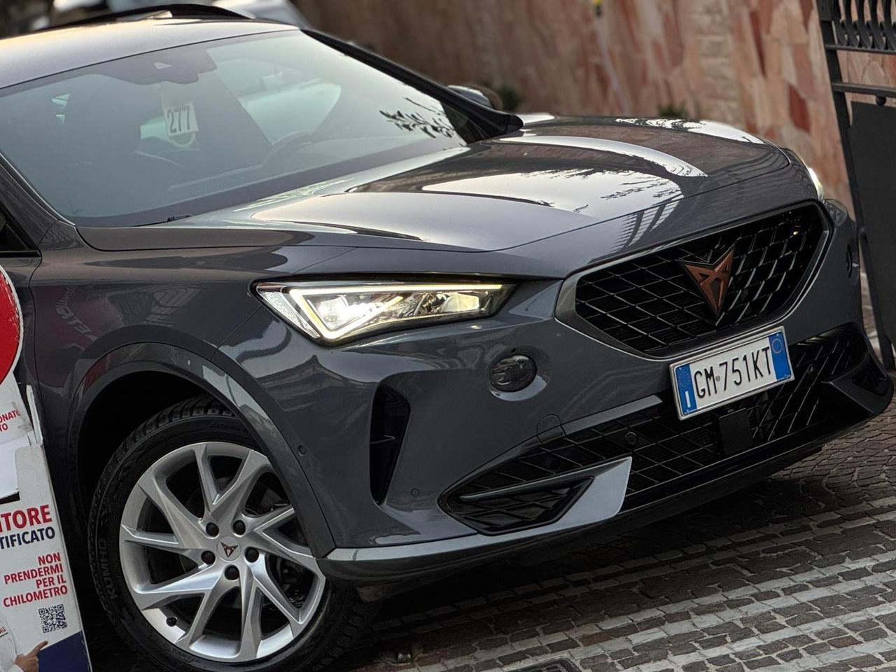 Cupra Formentor 2.0 TDI 4Drive DSG