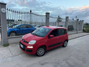 Fiat Panda 1.2 Gpl 69 Cv 2017 Block Shaft