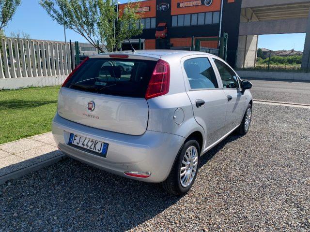 FIAT Punto 1.2 8V 5 porte Lounge