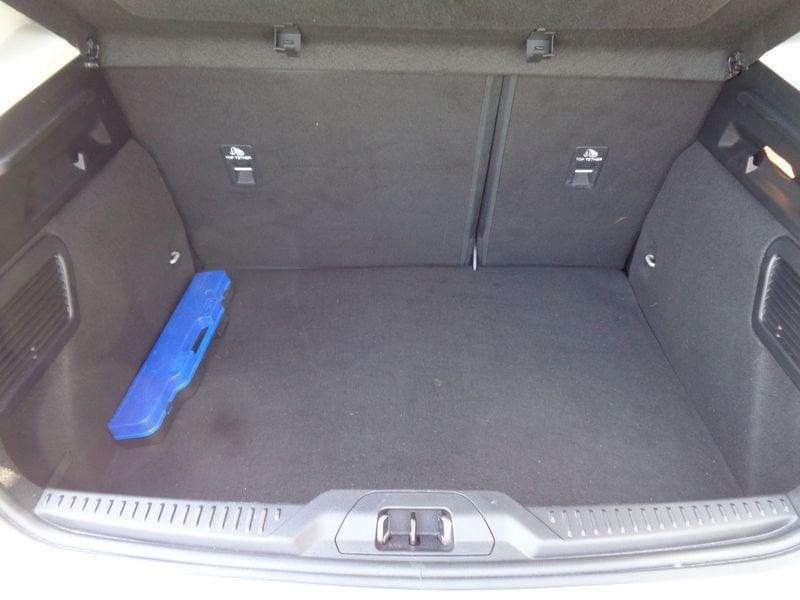 Ford Focus 1.5 EcoBlue 120 CV 5p. Business