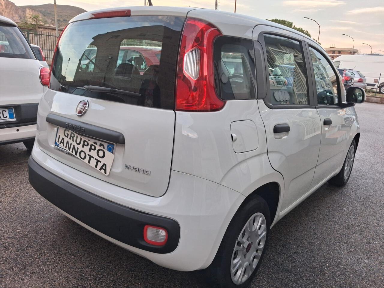 Fiat Panda 1.0 HYBRID 70 C.V. SOLI KM 34202 PERFETTA GARANZIA 12 MESI