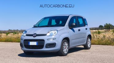 FIAT PANDA 1.2 2019 Az. pari al nuovo