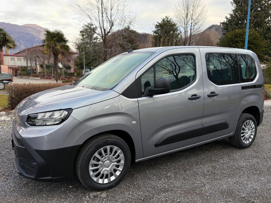 Toyota Proace City auto per disabili