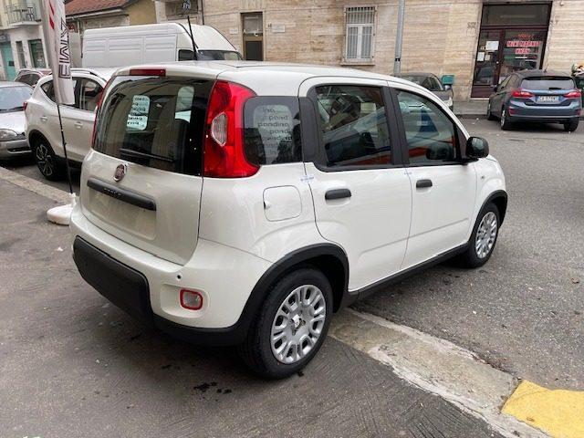 FIAT Panda 1.0 FireFly S&S Hybrid Pandina