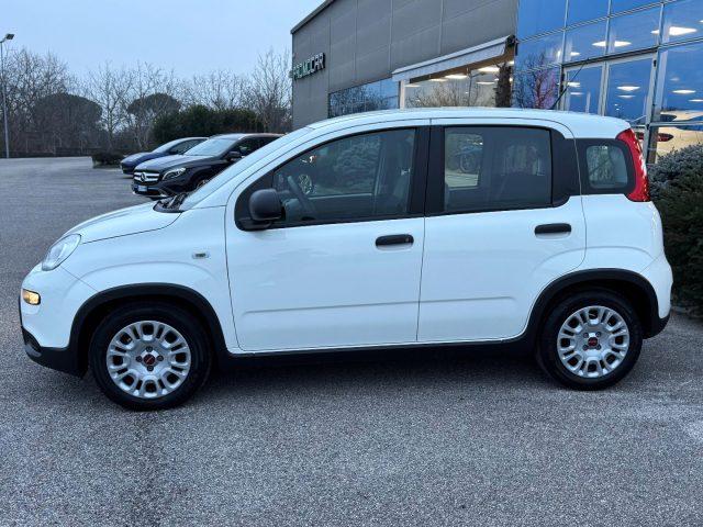 FIAT Panda 1.0 FireFly S&S HYBRID *UNIPROP*SENSORI*NEOPAT*