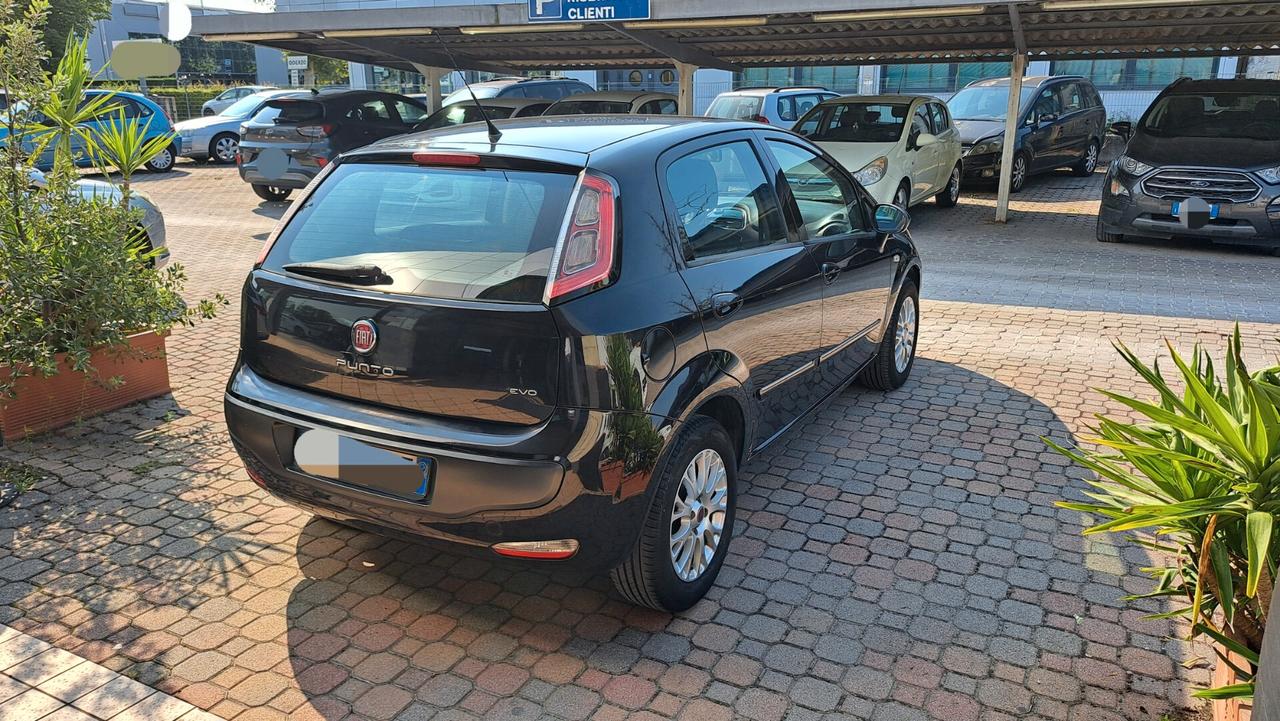 Fiat Punto Evo 1.4 5 porte S&S Dynamic OK NEO PATENTATI