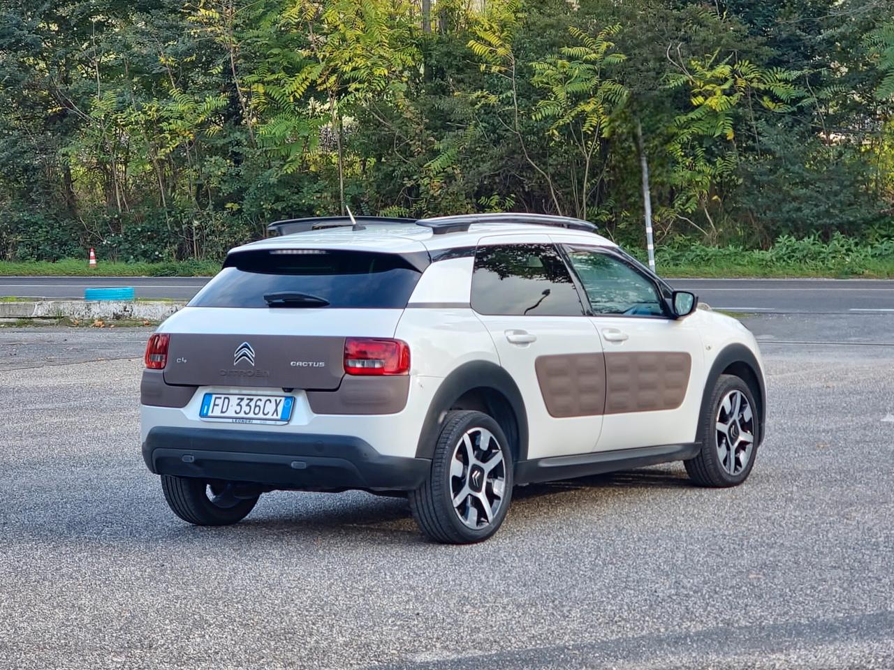 Citroen C4 Cactus BlueHDi 100 S&S Shine 2016-E6B Manuale