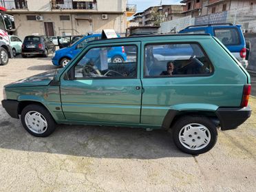 Fiat Panda 1100 i.e. cat Young