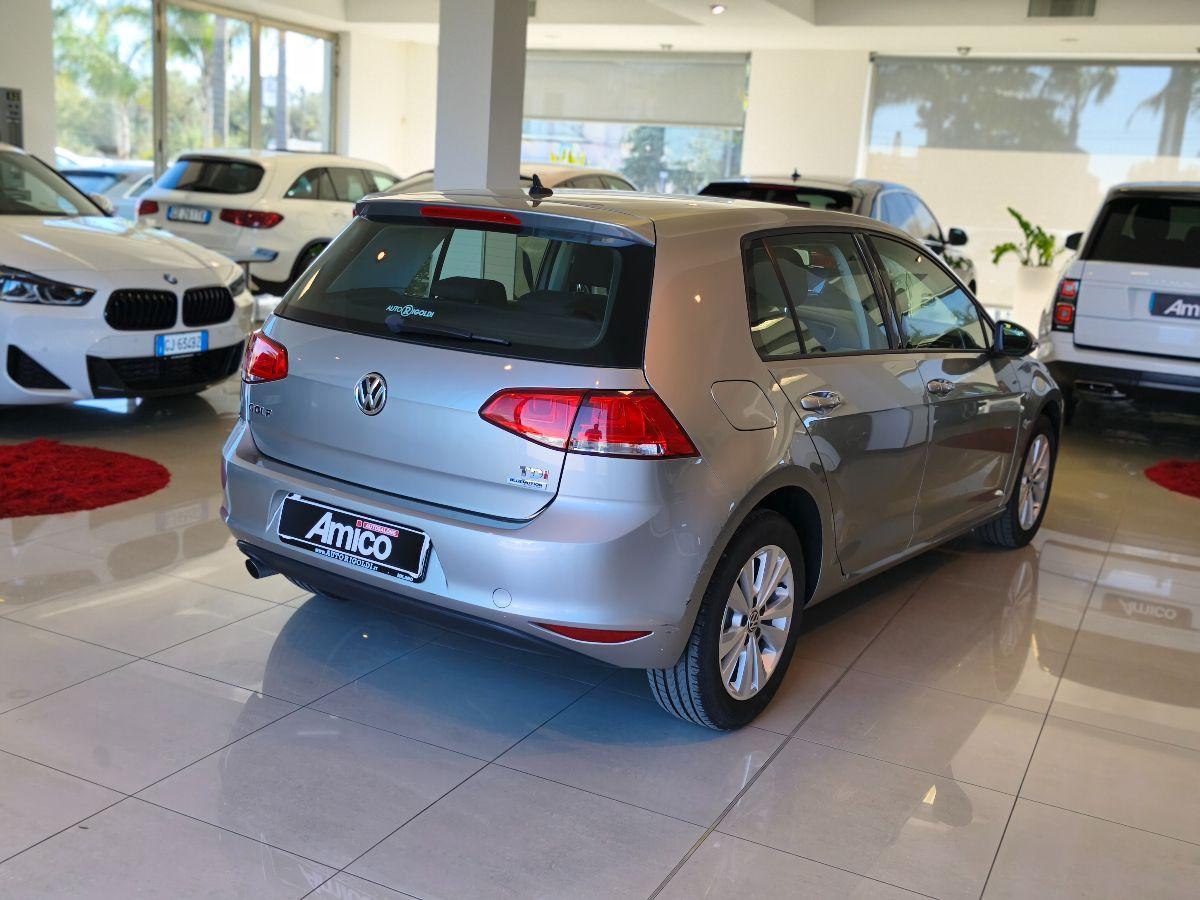 VOLKSWAGEN Golf 7 1.6 TDI 110CV Sport Edition