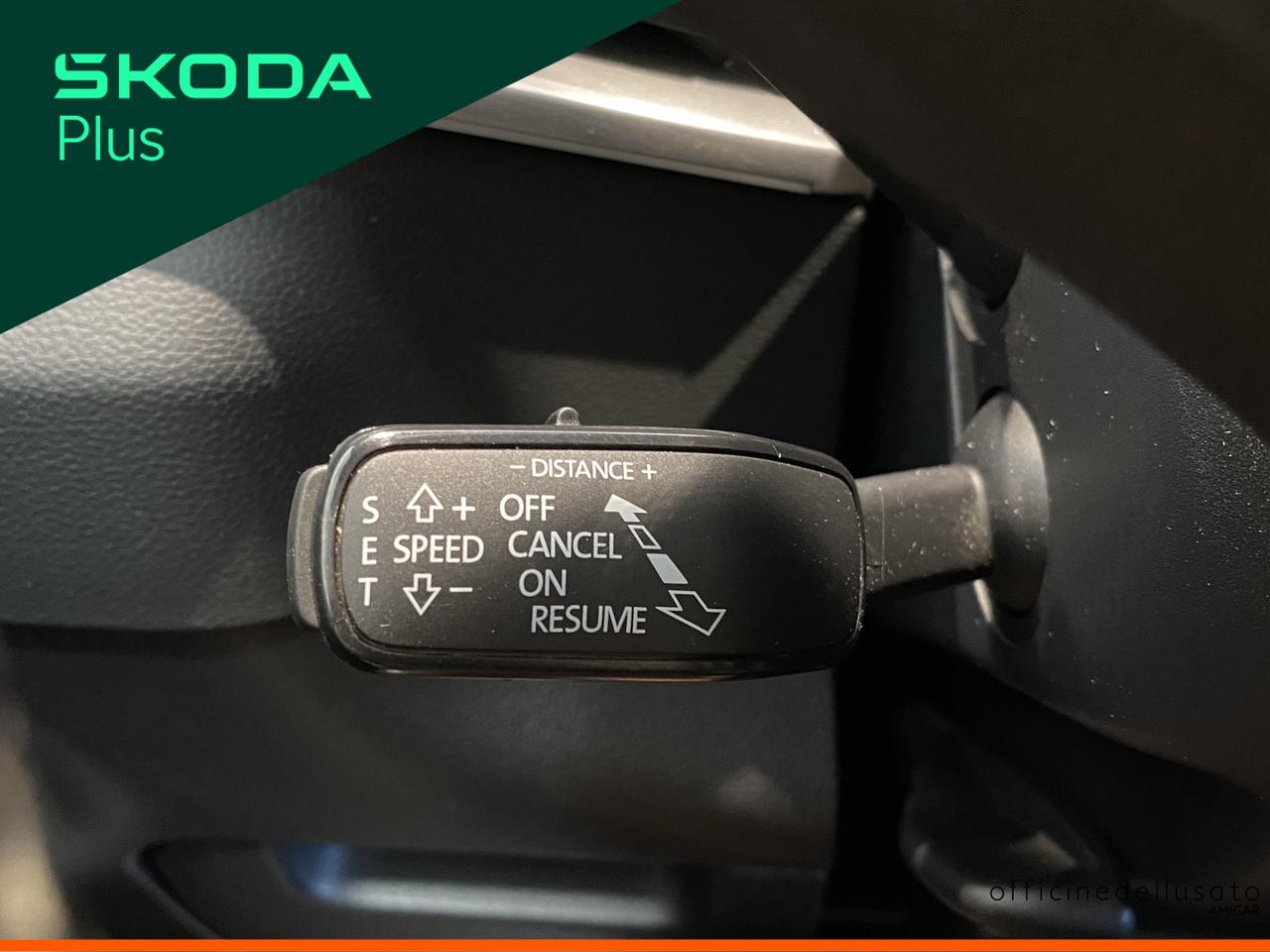 Skoda Karoq 2.0 tdi evo scr 115cv executive