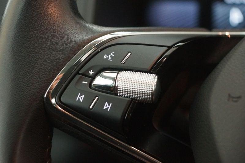 Skoda Karoq Karoq 2.0 TDI EVO SCR 115 CV DSG Executive