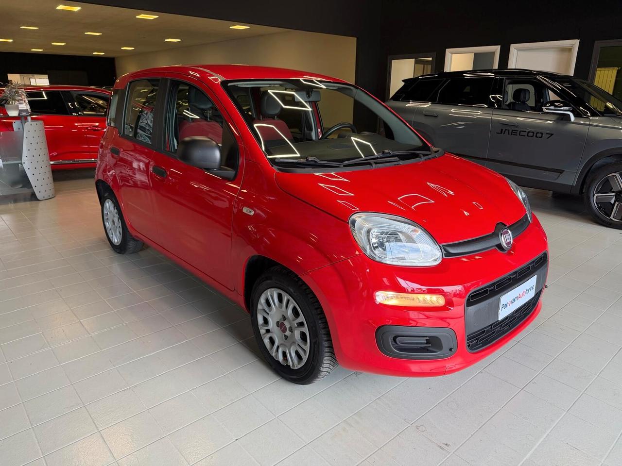 FIAT Panda 3ª serie Panda 1.2 Easy