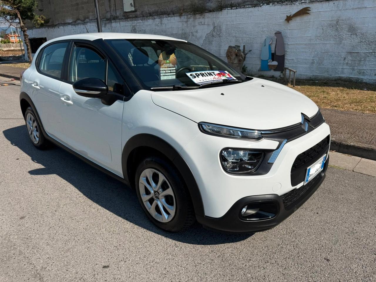 Citroen C3 BlueHDi 100 S&S Van 2 posti