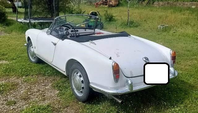 Alfa Romeo Giulia spider 1600