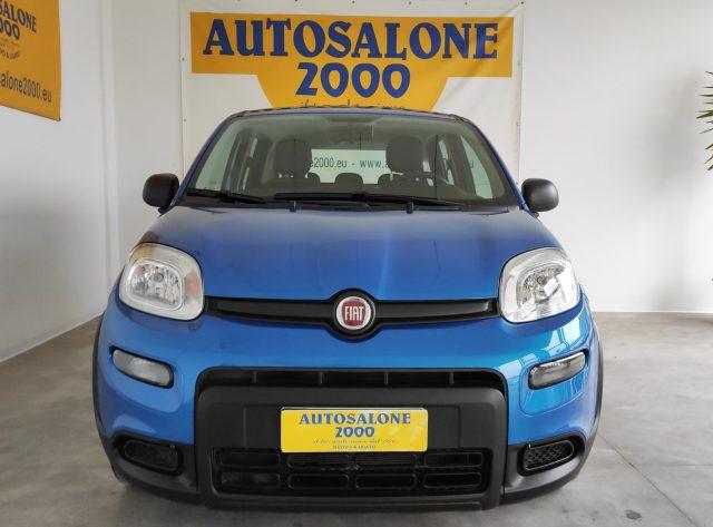 FIAT Panda 1.0 FireFly S&S Hybrid PREZZO REALE / NEOPATENTATI