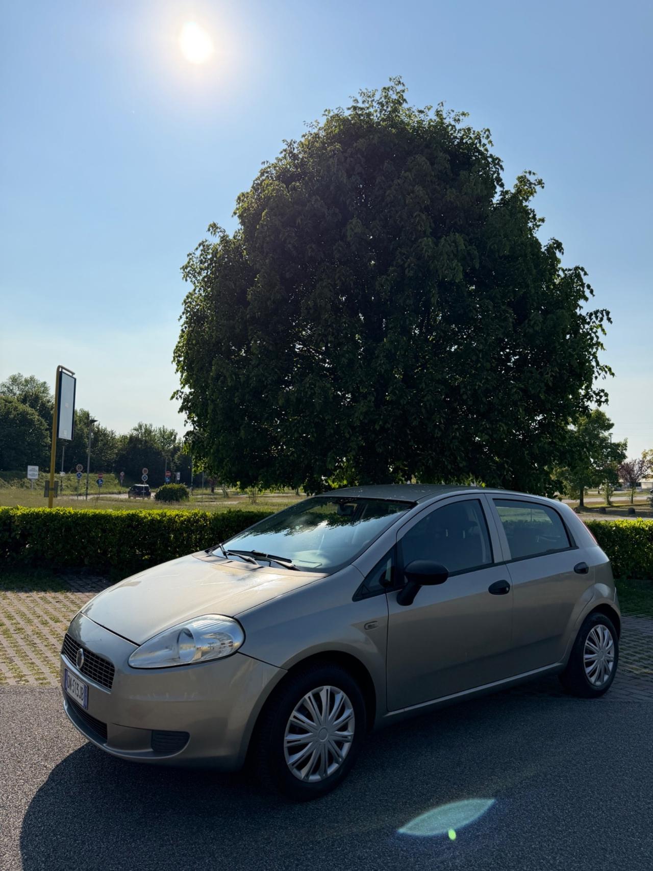 Fiat Punto Classic 1.2 5 porte Dynamic