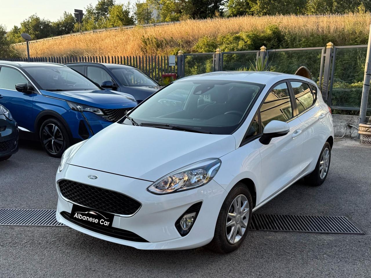 Ford Fiesta 1.5 EcoBlue 5 porte Plus