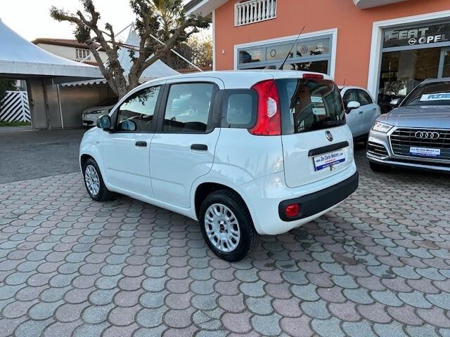 FIAT Panda 1.2 Benz. 70CV Easy - 2019