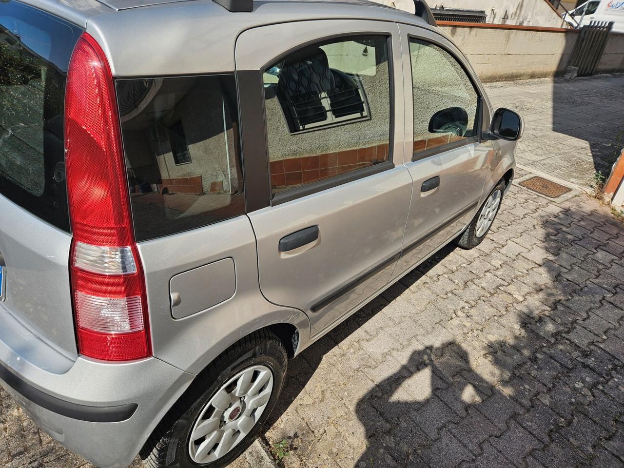 Fiat Panda 1.2 Dynamic OK NEOPATENTATI