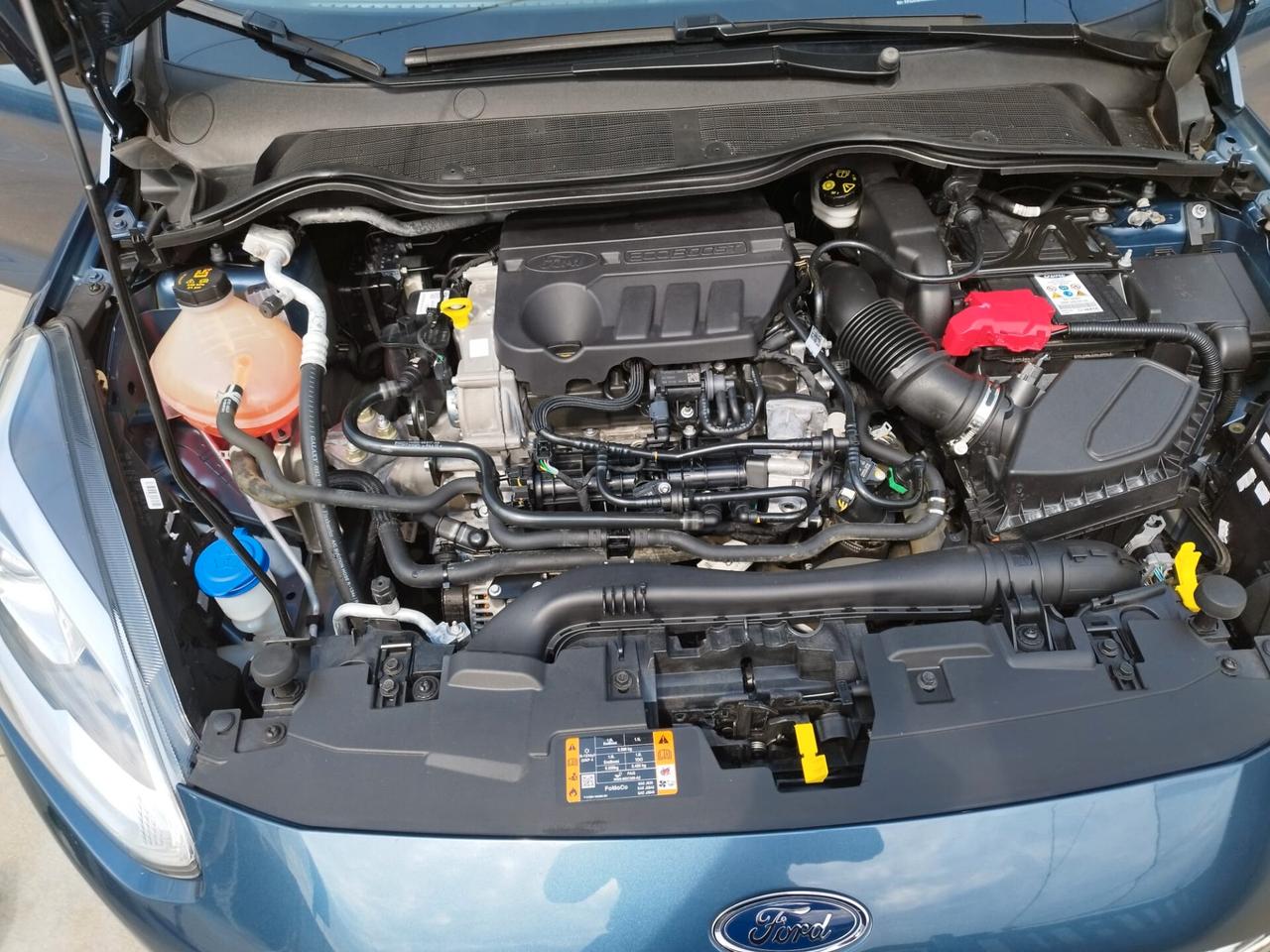 Ford Fiesta 1.0 Ecoboost Hybrid 125 CV 5 porte ST-Line