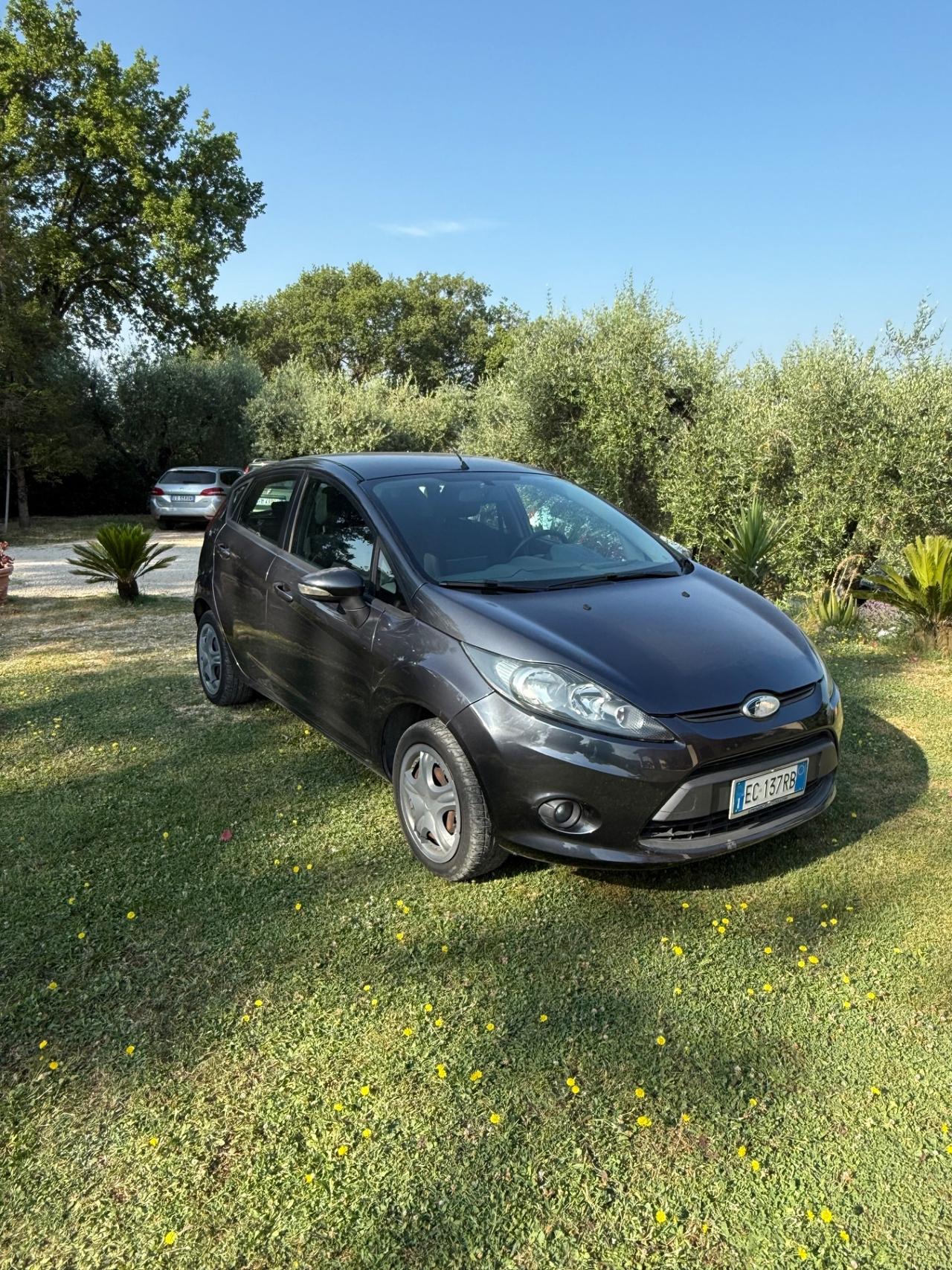 Ford Fiesta 1.4 5 porte Bz.- GPL Titanium