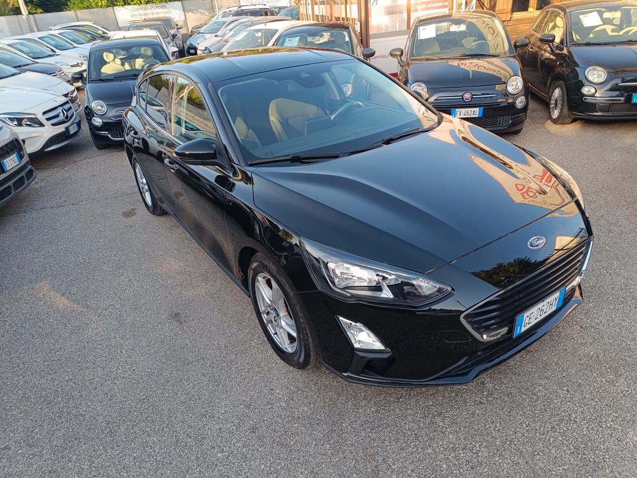 Ford Focus 1.0 EcoBoost 100 CV 5p. Business