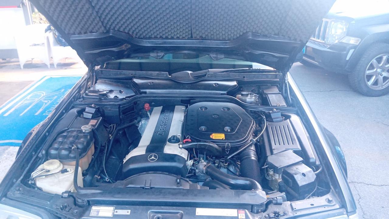 Mercedes-benz SL 300 SL-24 cat