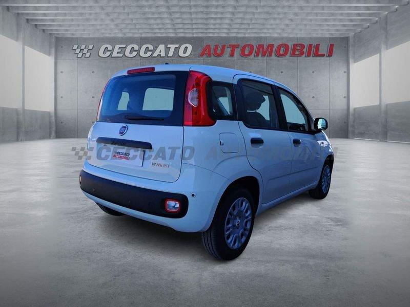 FIAT Panda Panda 1.0 firefly hybrid s&s 70cv