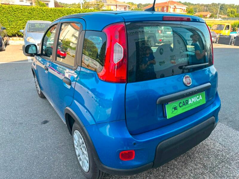 FIAT Panda 3ª serie Panda 1.0 FireFly S&S Hybr...
