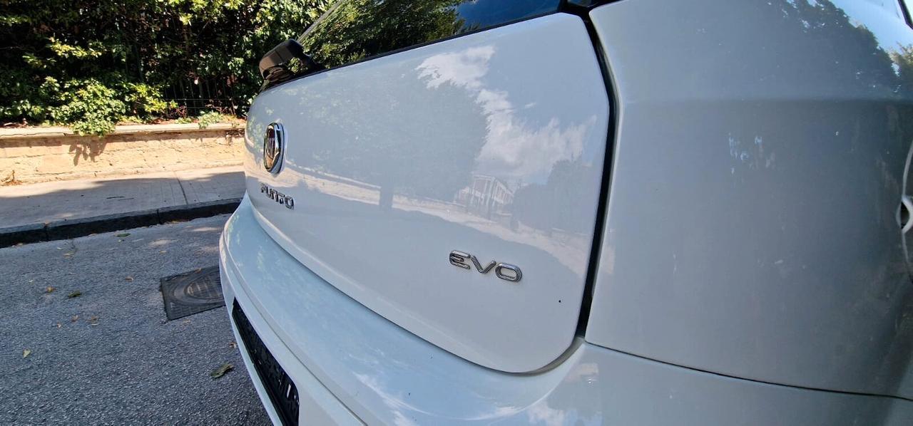Fiat Punto Evo 1.3 Mjt 75 CV DPF 5 porte S&S Dynamic Lounge