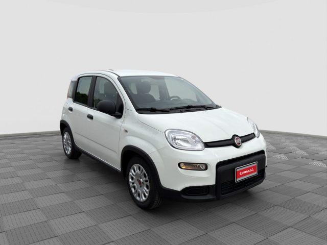 FIAT Panda Panda 1.0 FireFly S&S Hybrid