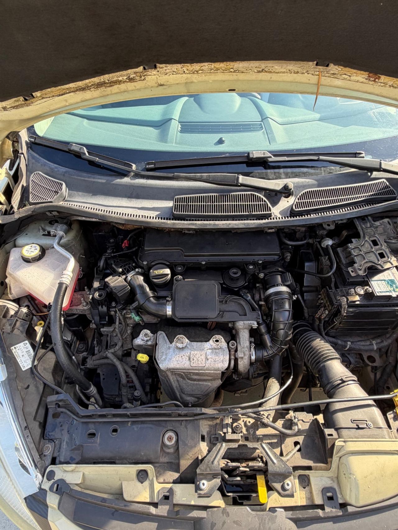FORD FIESTA 1.4 TDI 68CV FULL NORD ITA CHIAMA