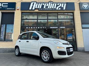 Fiat Panda 1.2 Easy neopatentato
