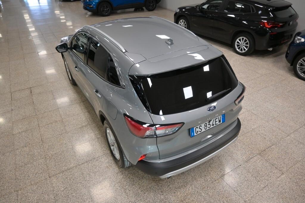 Ford Kuga 2.0 EcoBlue 120 CV aut. 2WD ST-Line X