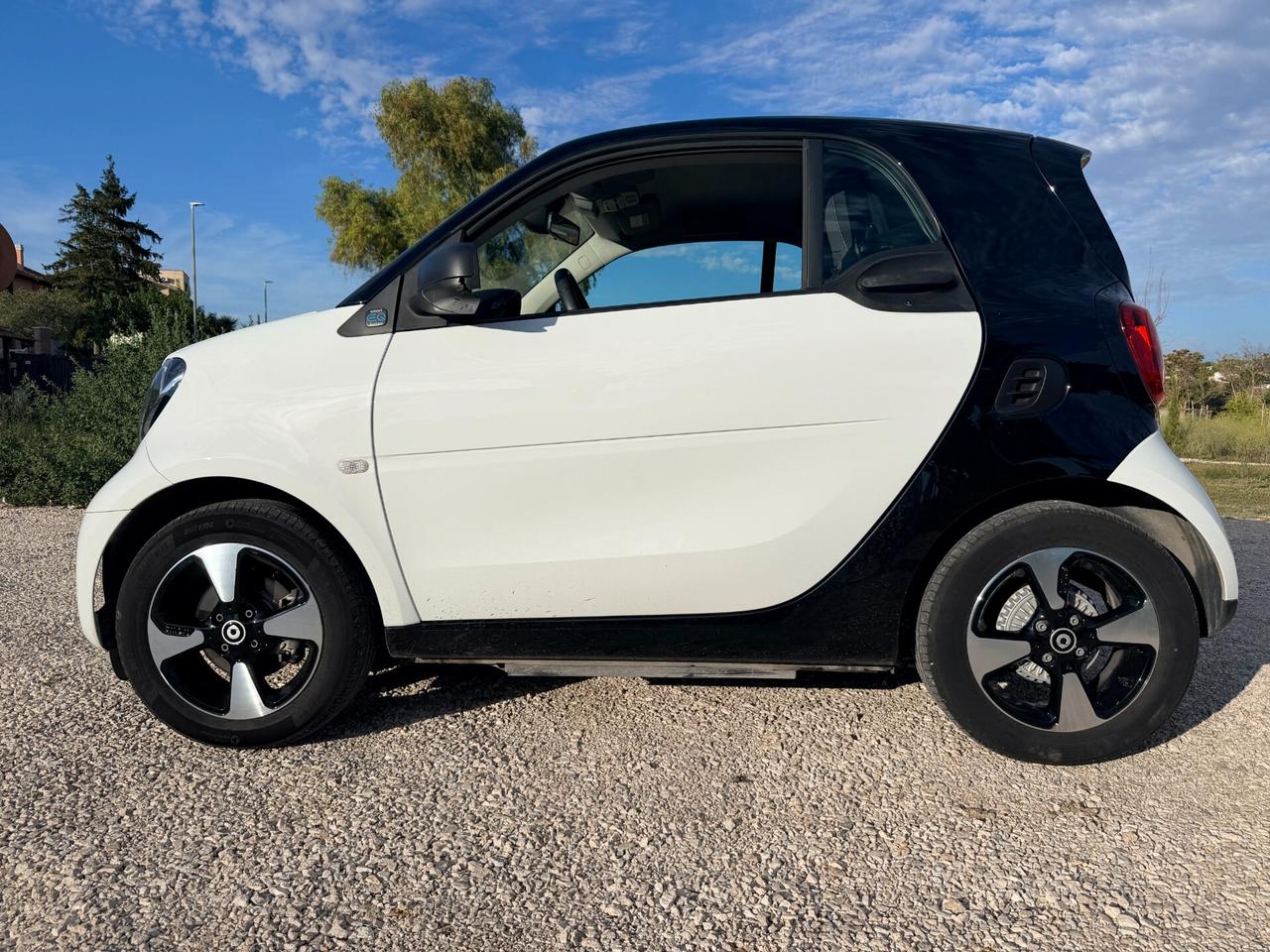 Smart ForTwo EQ Passion 22kw Charger