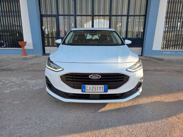 Ford Focus 1.5 EcoBlue 120 CV 5p. Business
