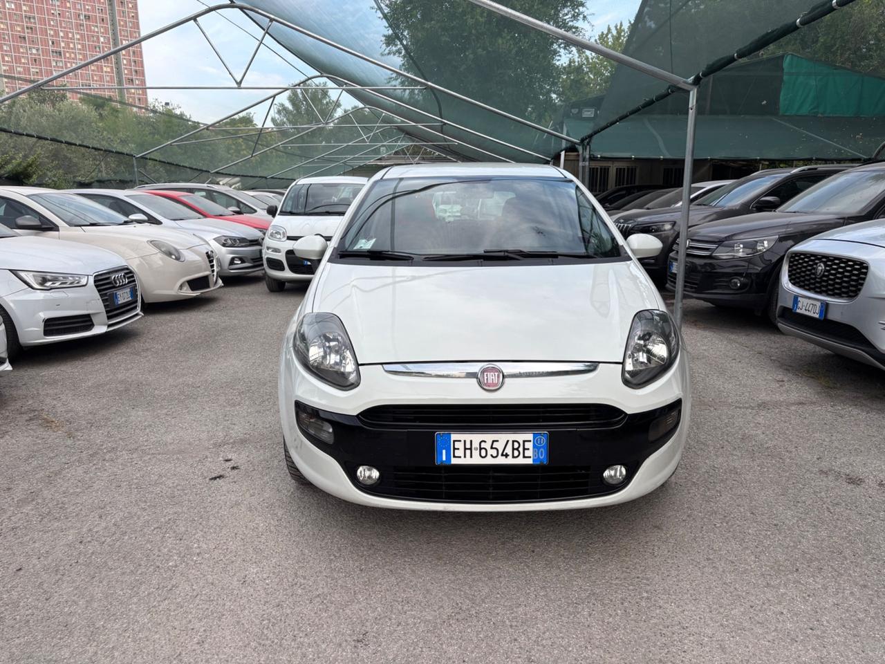 Fiat Punto Evo 1.2 5 porte Dynamic OK NEOPATENTATI