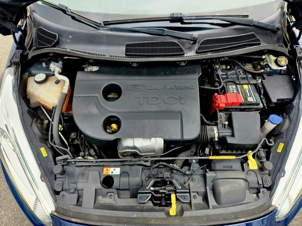 Ford Fiesta 1.5 TDCi 75CV 5 porte Black & White Edition