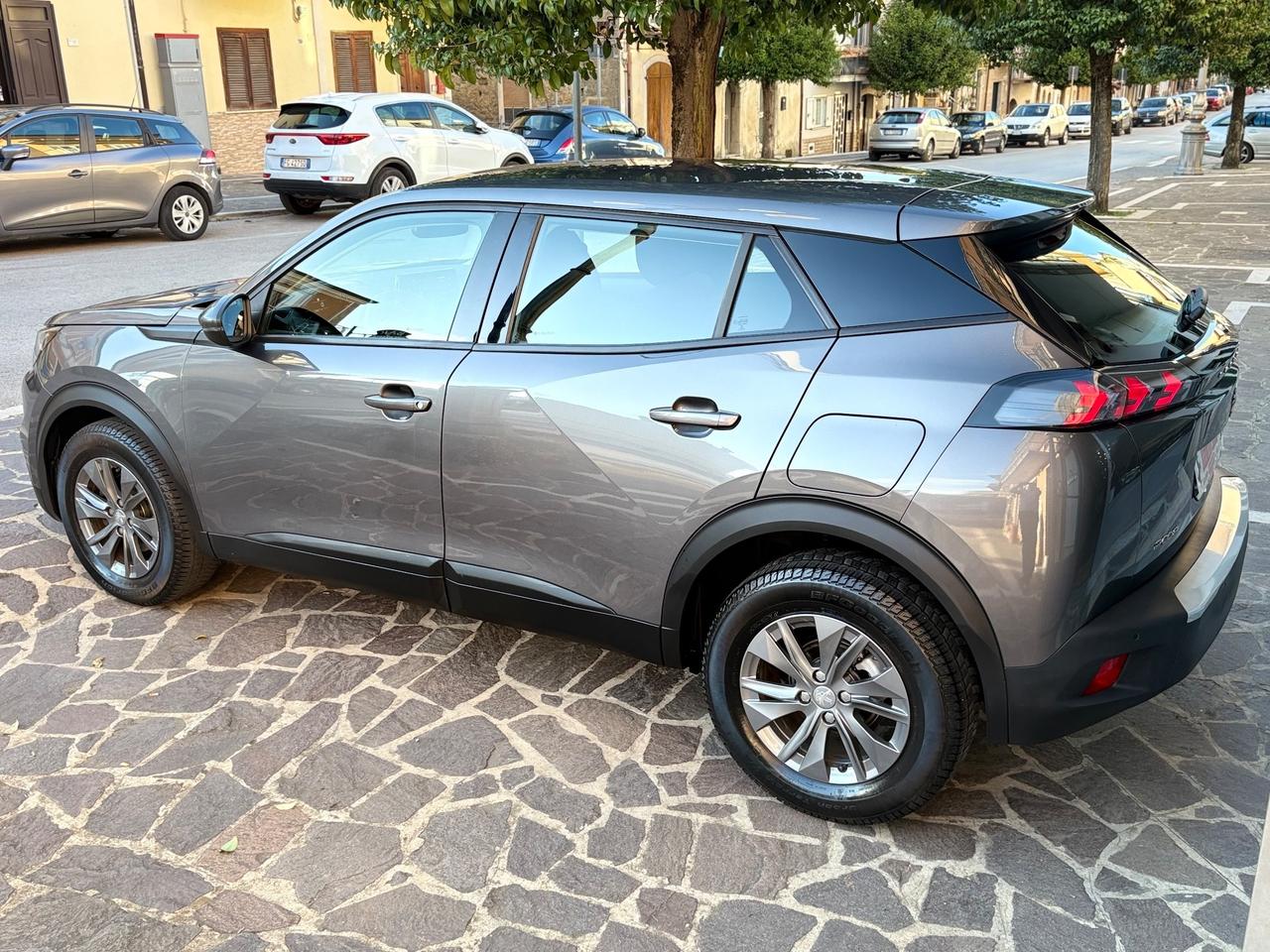 Peugeot 2008 BlueHDi 110 Active FULL LED/NAV/CAM