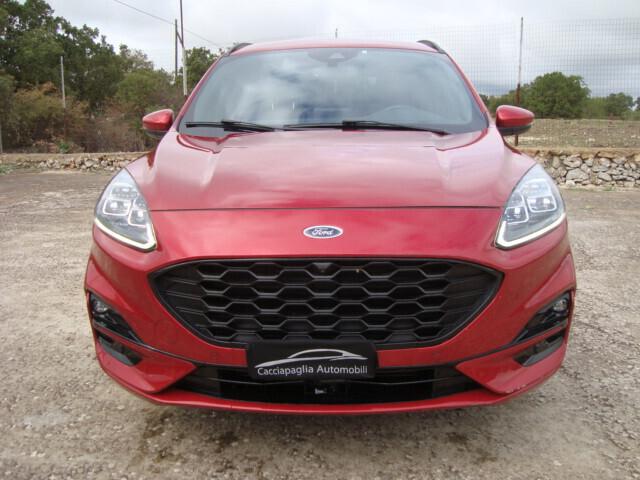 Ford Kuga 1.5 EcoBlue 120 CV 2WD ST-Line 2021
