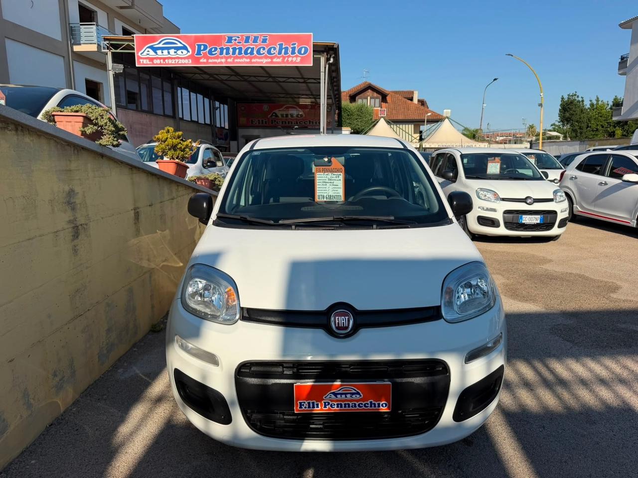 FIAT PANDA 1.2 BENZINA 69 (CV) 2019