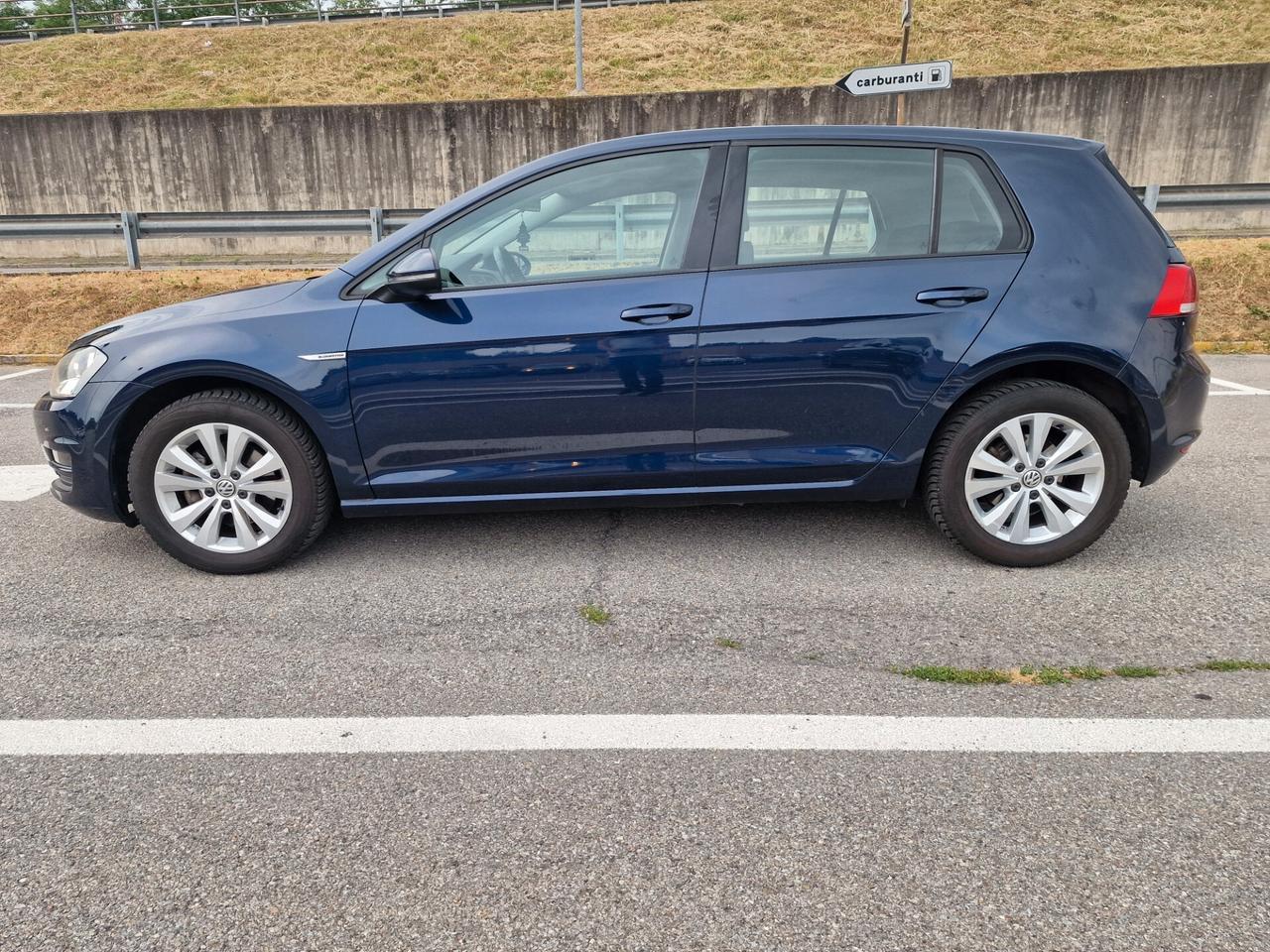 Volkswagen Golf 1.4 TGI 5p. Executive BlueMotion