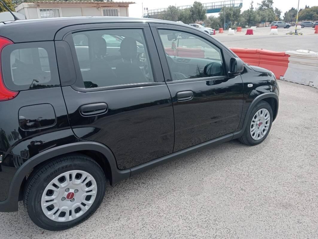 Fiat Panda III 1.0 firefly hybrid s&s 70cv