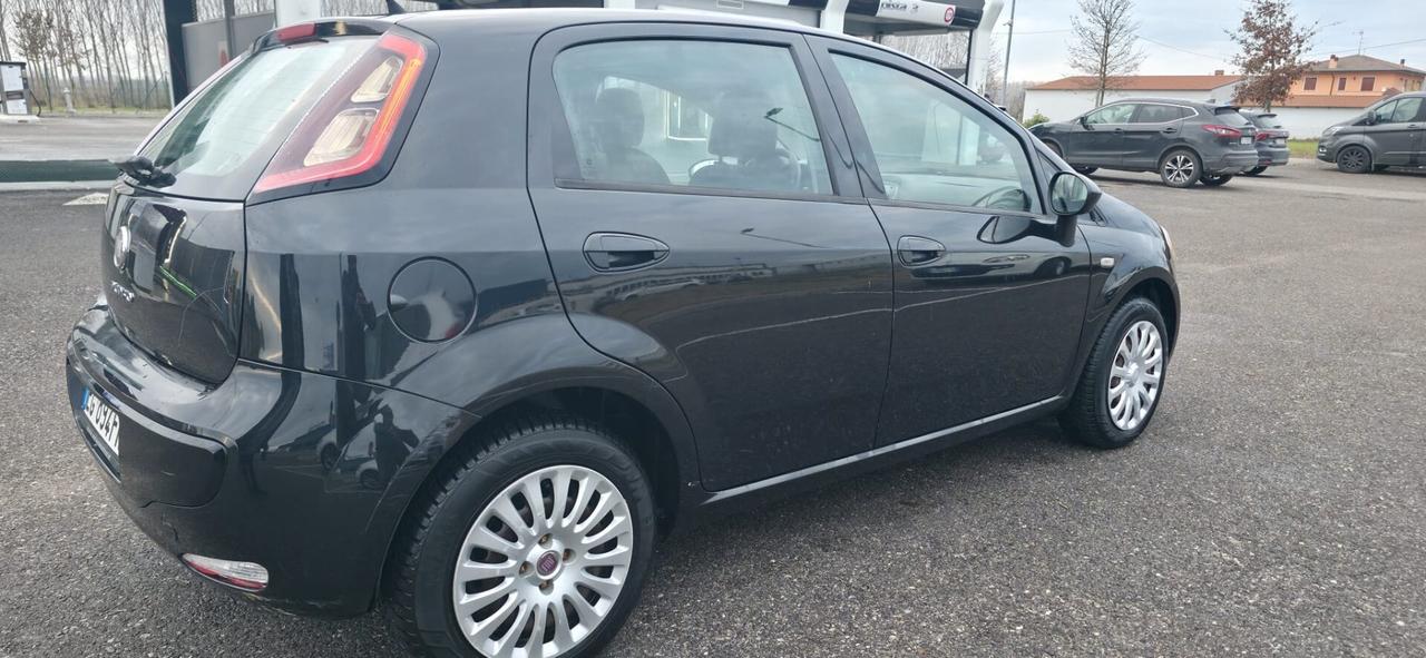 Fiat Punto Evo 1.2 5 porte S&S Dynamic benzina neop.