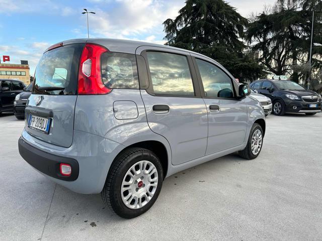 FIAT Panda 1.2 Easy 69cv OK NEOPATENTATO