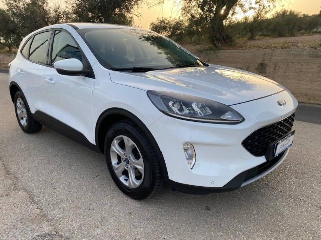 Ford Kuga 1.5 ecoblue Connect 2wd 120cv auto