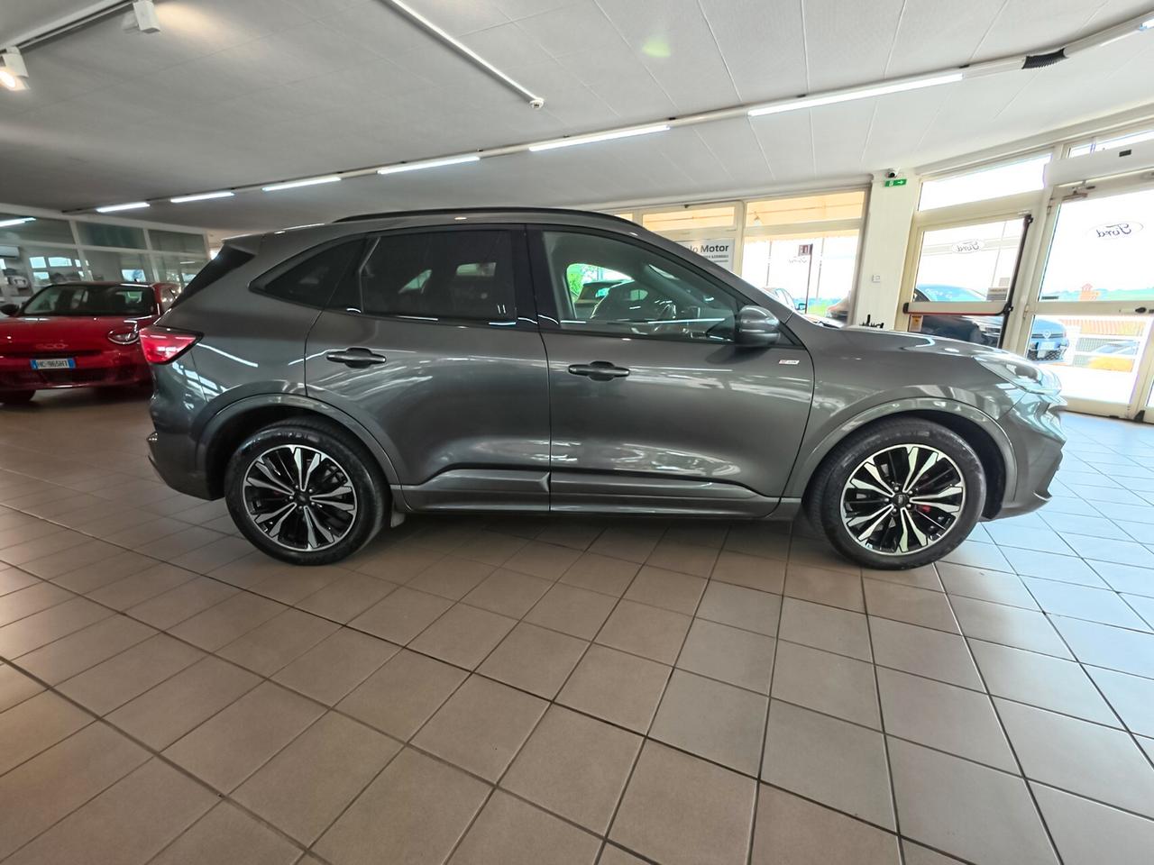 Ford Kuga 2.0 EcoBlue 120 CV aut. 2WD ST-Line X