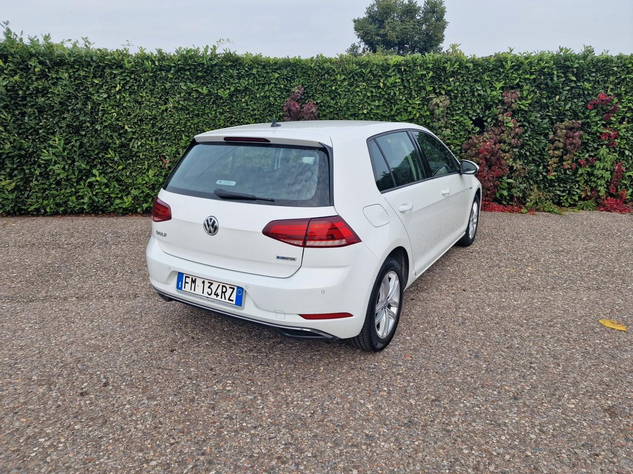Volkswagen Golf 1.4 TGI 5p. Business BlueMotion