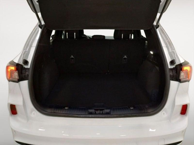 Ford Kuga 1.5 ecoblue ST-Line 2wd 120cv