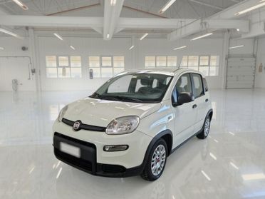 FIAT PANDA 1.0 HYBRID 70cv MY22